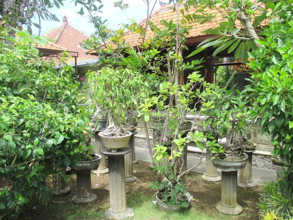 Mona Homestay Sanur Dış mekan fotoğraf